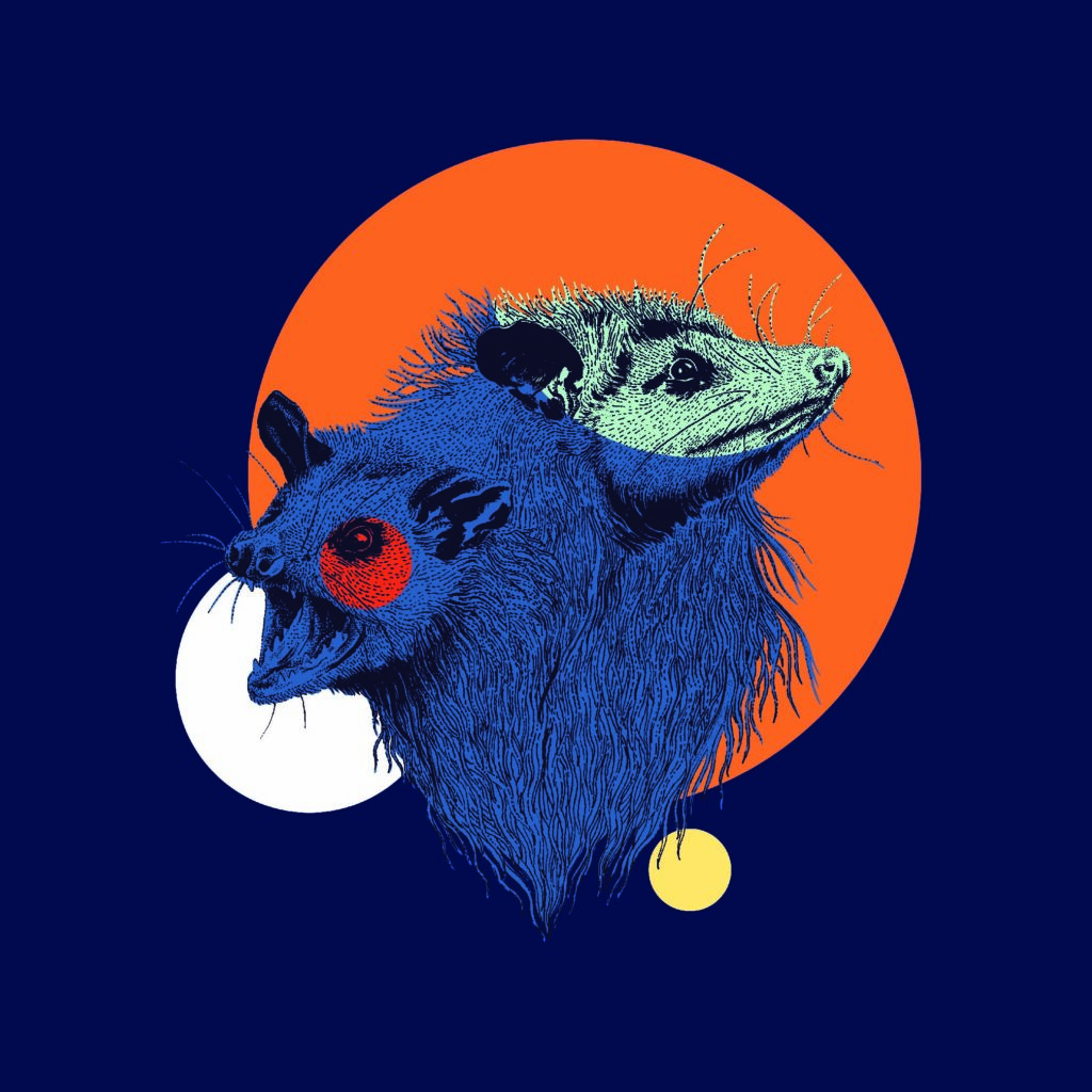 Pochette de l'EP The Awesome Possums